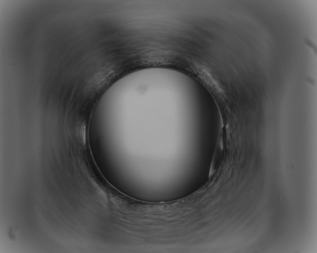 X0000091330021200708241211