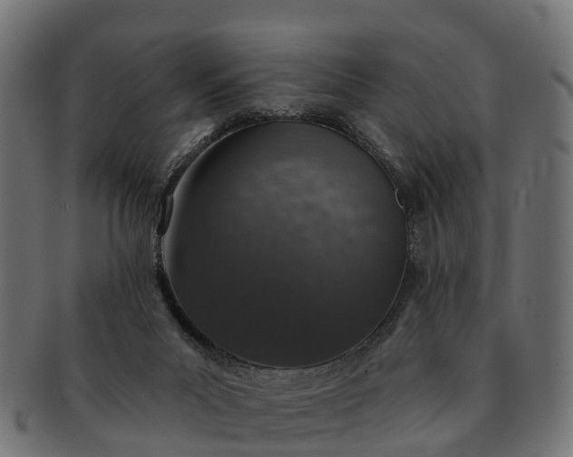 X0000091330023200708241211