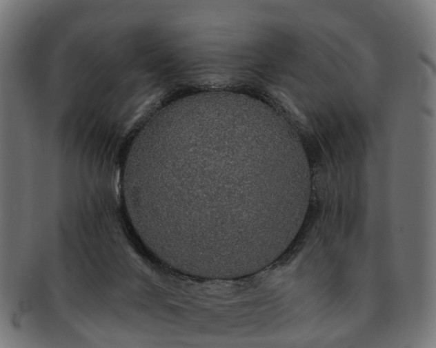 X0000091330024200708241211