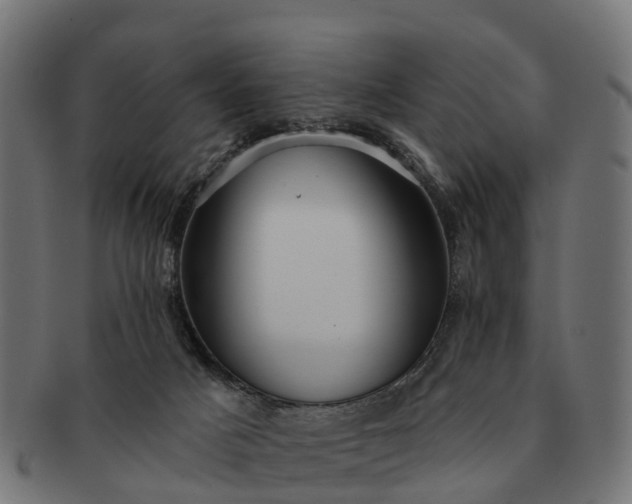 X0000091330025200708241211