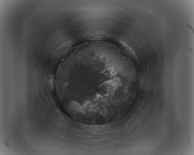 X0000091330026200708241211