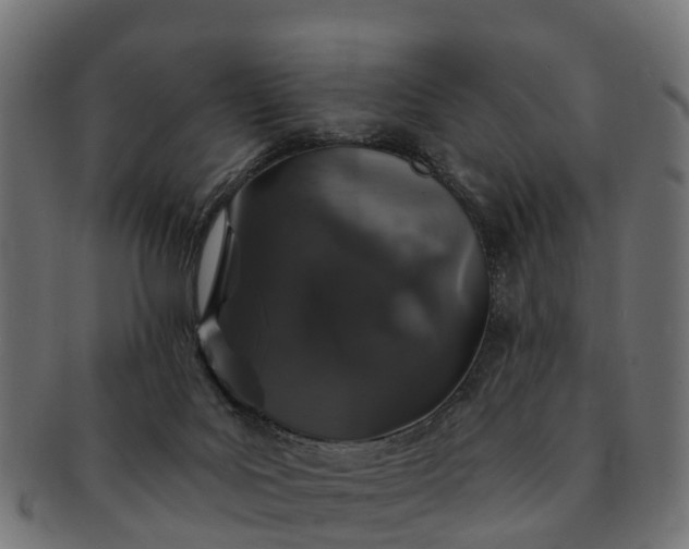 X0000091330027200708241211