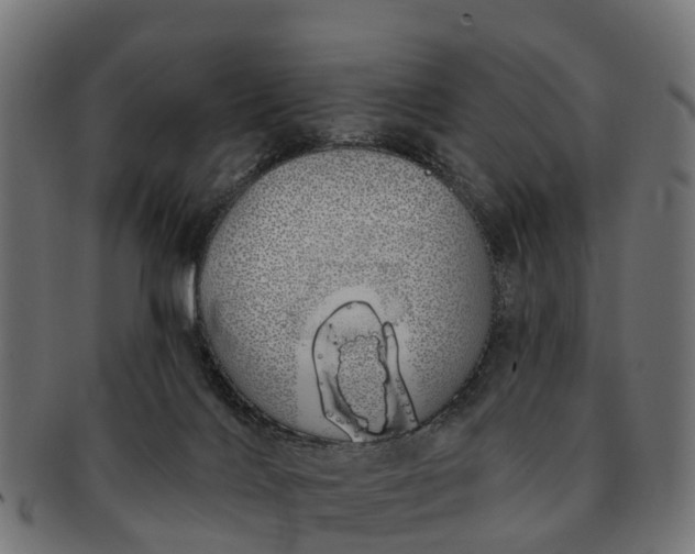 X0000091330028200708241211