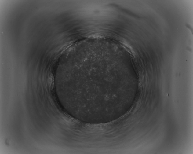 X0000091330029200708241211