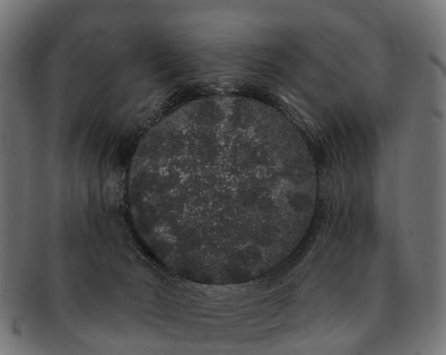 X0000091330030200708241211