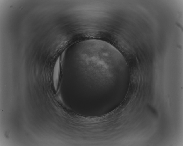 X0000091330031200708241211