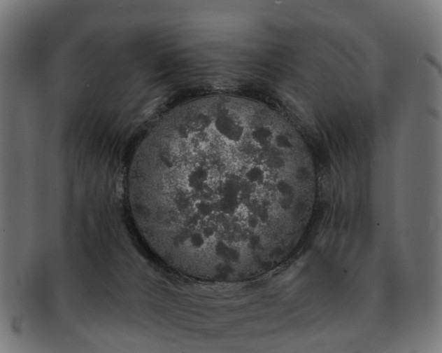 X0000091330032200708241211