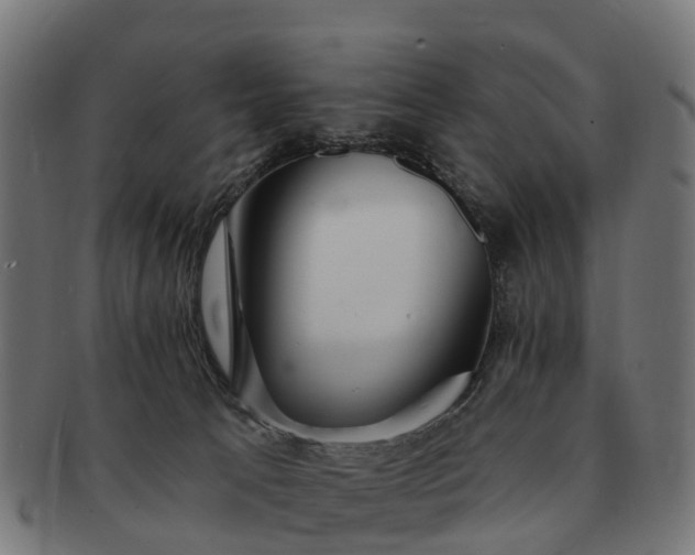 X0000091330033200708241211