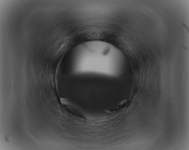 X0000091330035200708241211