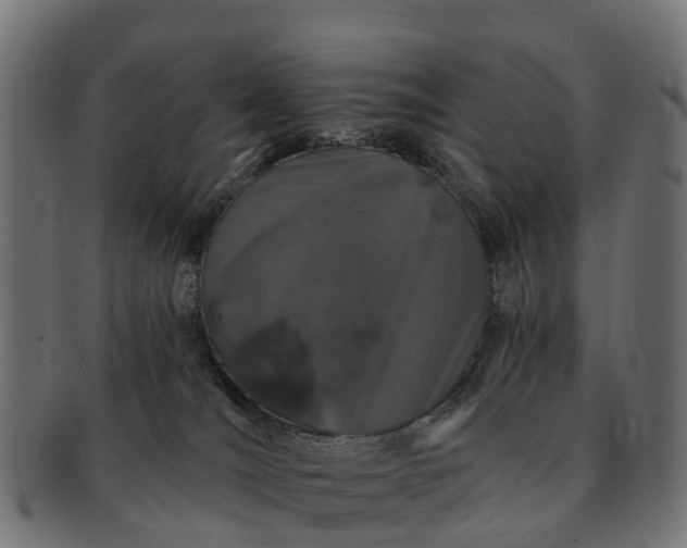 X0000091330036200708241210