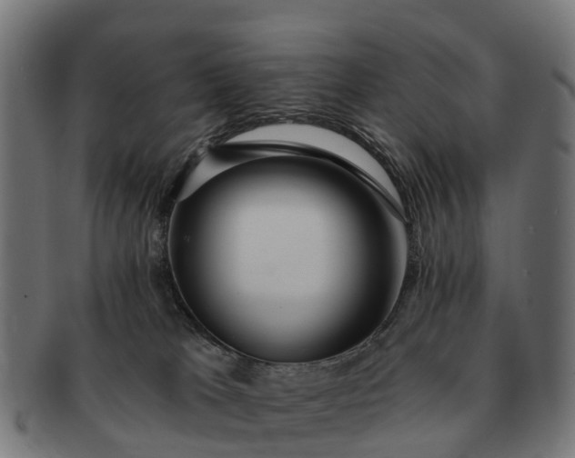 X0000091330037200708241210