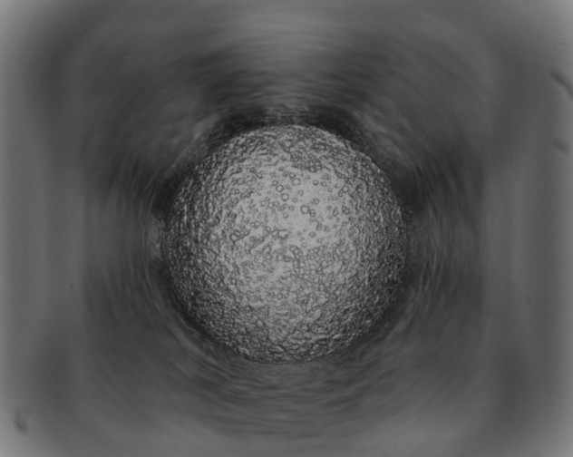 X0000091330038200708241210