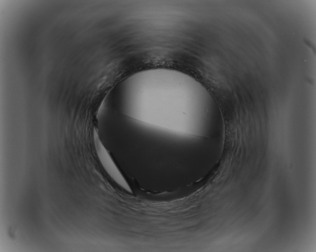 X0000091330039200708241210