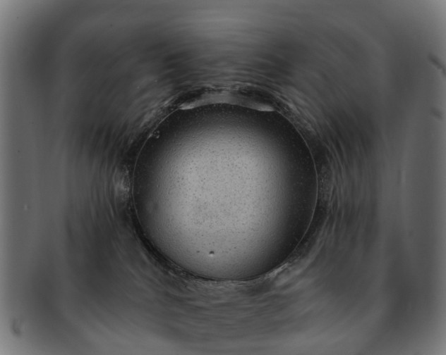 X0000091330040200708241210