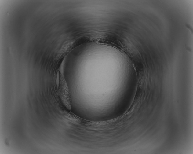 X0000091330041200708241210