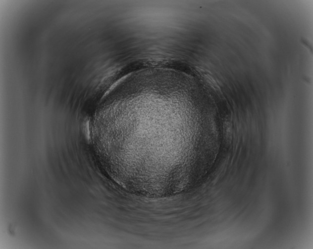 X0000091330042200708241210