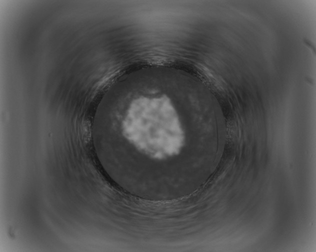 X0000091330043200708241210