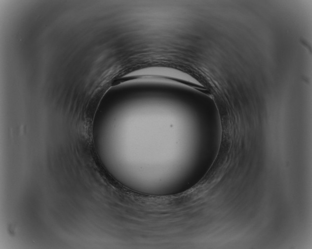 X0000091330044200708241210