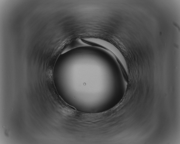 X0000091330045200708241210