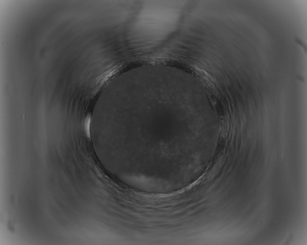 X0000091330047200708241210