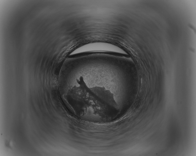 X0000091330048200708241210