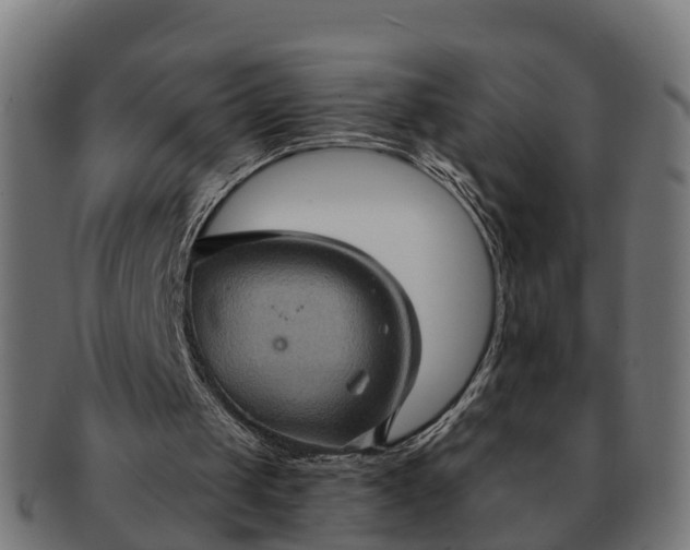 X0000091330049200708241210