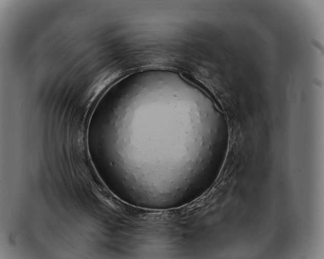 X0000091330050200708241210