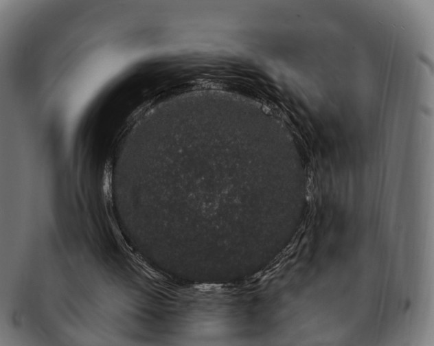 X0000091330052200708241210