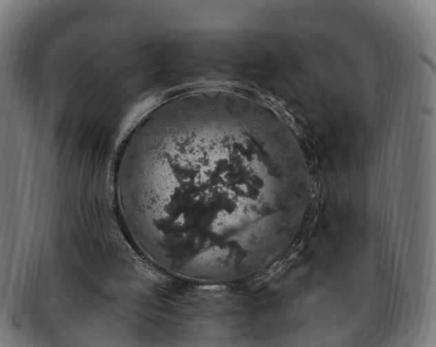 X0000091330053200708241210