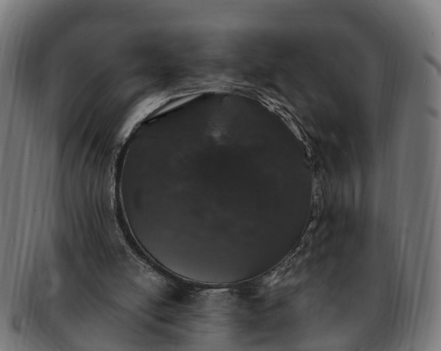 X0000091330054200708241210