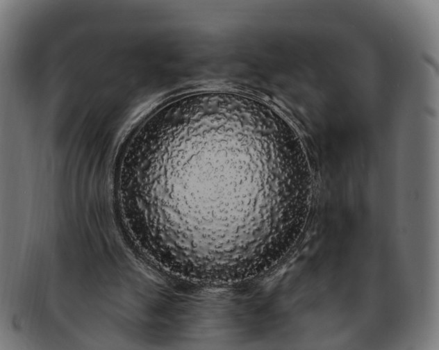 X0000091330055200708241210