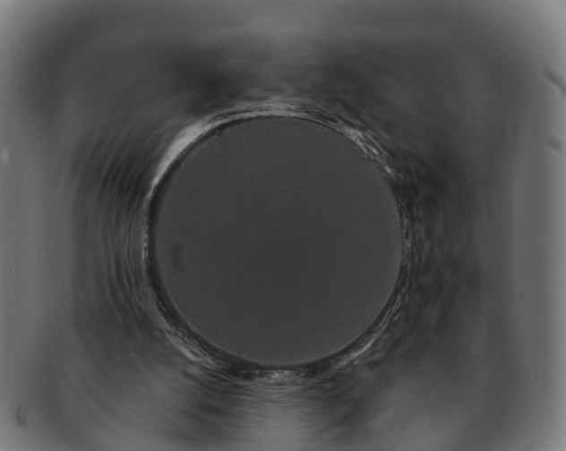 X0000091330056200708241210