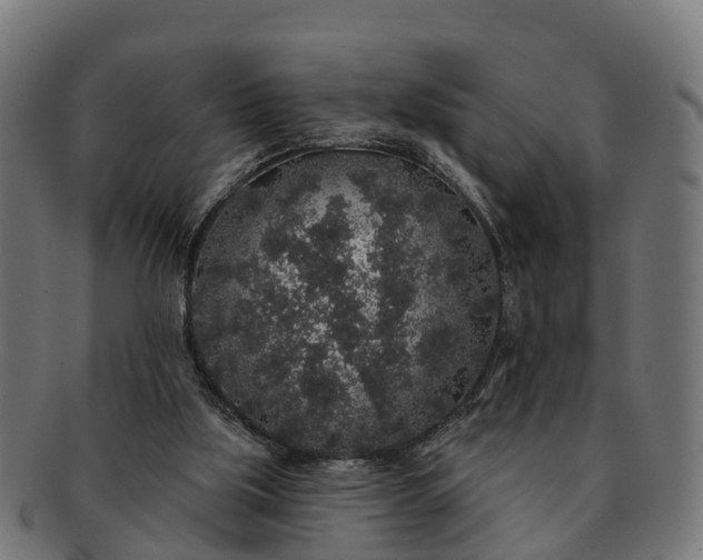 X0000091330059200708241210