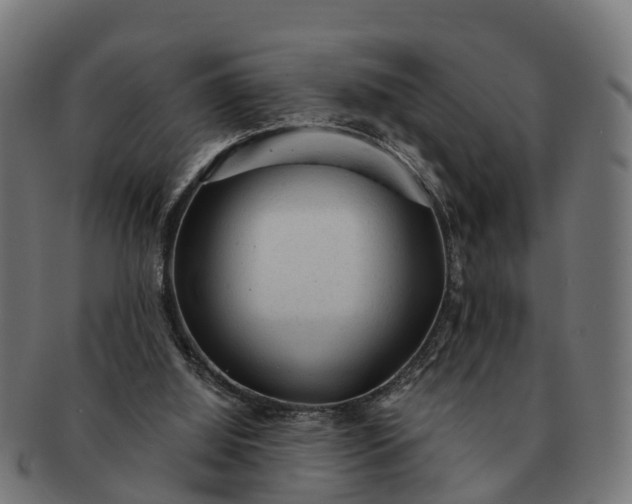 X0000091330060200708241210