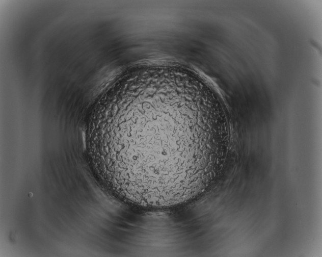 X0000091330061200708241210