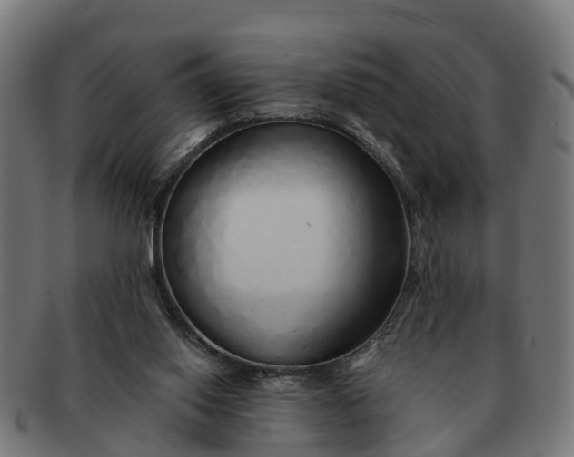 X0000091330062200708241210