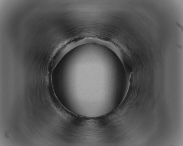 X0000091330064200708241210