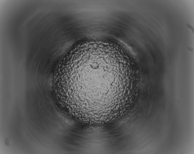 X0000091330065200708241210