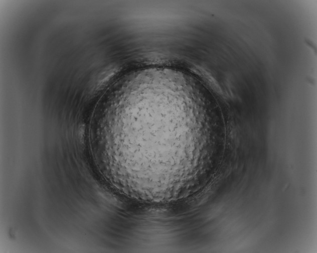 X0000091330066200708241210