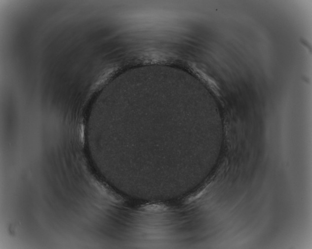 X0000091330067200708241210