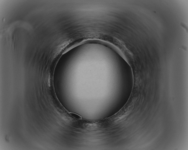 X0000091330068200708241210