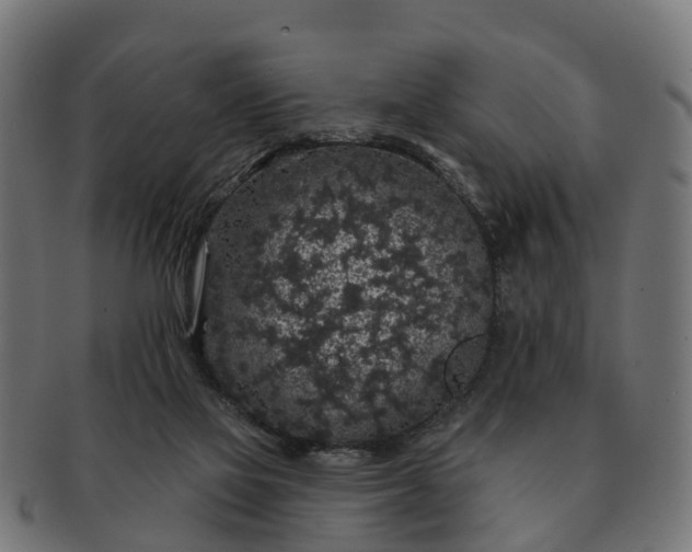 X0000091330069200708241210