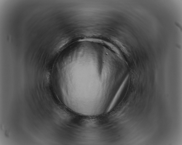 X0000091330071200708241210