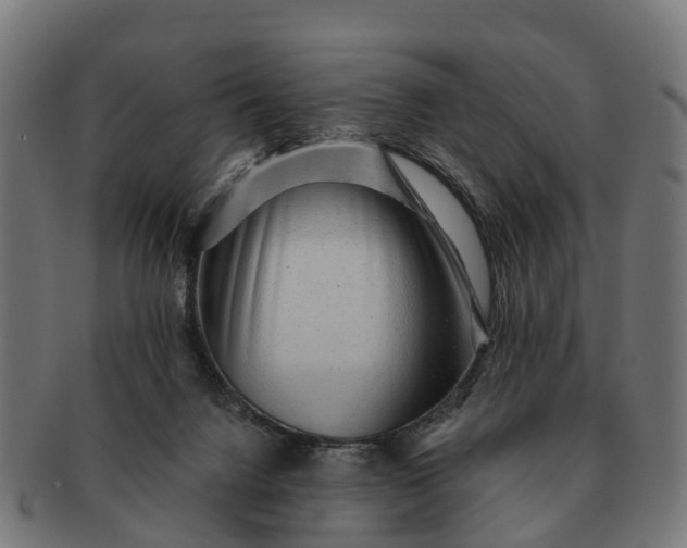 X0000091330072200708241210