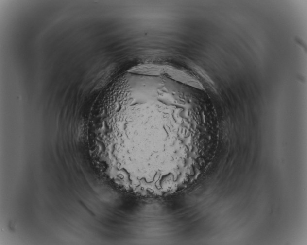 X0000091330073200708241210