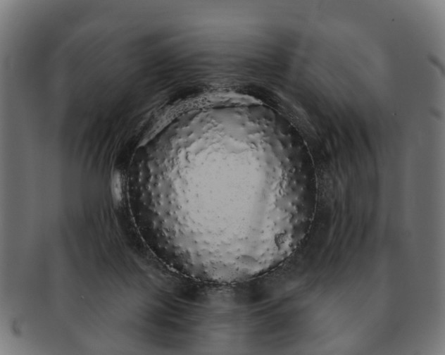 X0000091330075200708241210