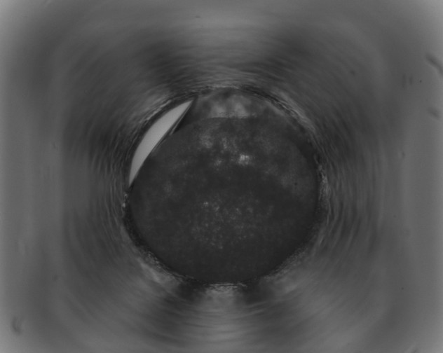 X0000091330076200708241210