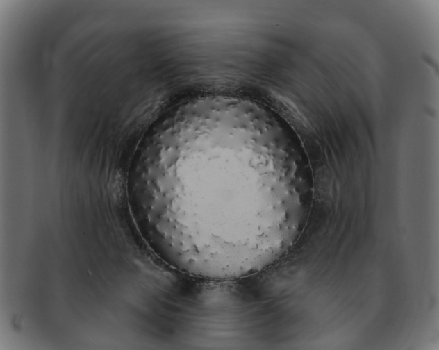 X0000091330077200708241210