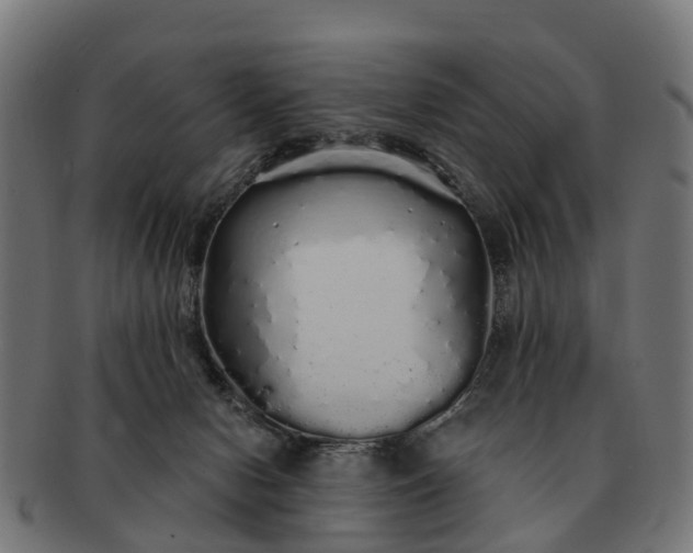 X0000091330078200708241210