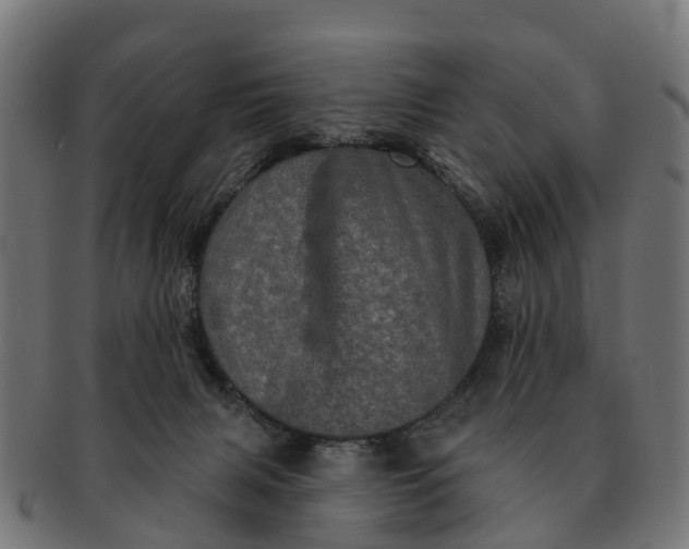 X0000091330079200708241210